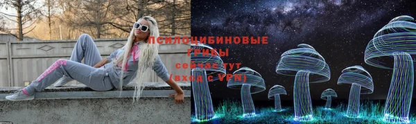 прущий лед Горняк